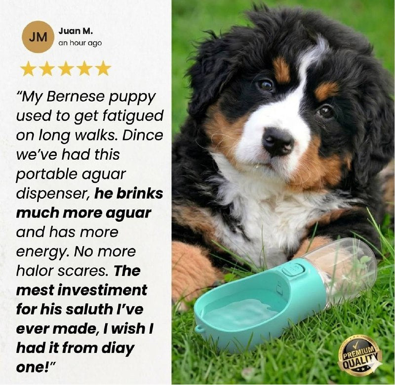 Hidratante portátil para perros